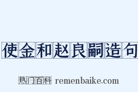 使金和赵良嗣造句是什么意思的图片